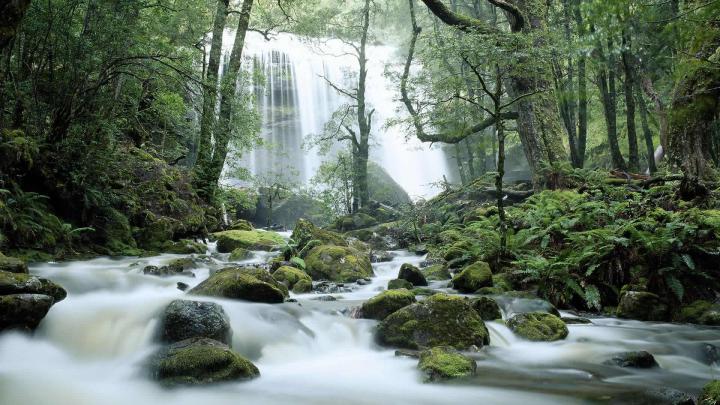 Tasmania Waterfall \u2013 Bing Wallpaper Download
