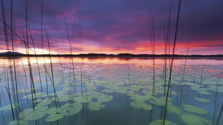Bannwaldsee \u2013 Bing Wallpaper Download