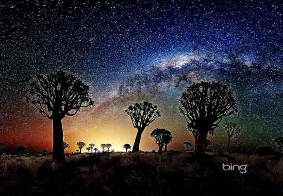 Free download Bing Desktop Background Daily Change 