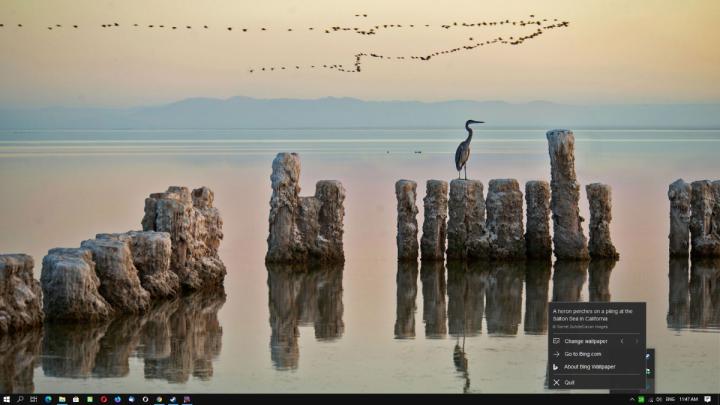 Microsoft\u0026#39;s new Bing Wallpaper application is now available