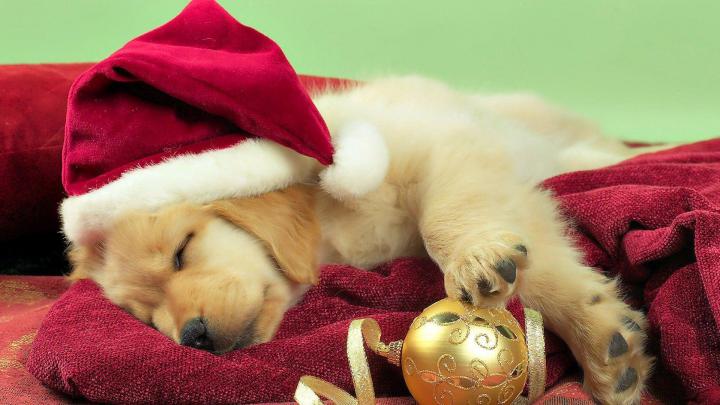 Cute Christmas Wallpaper Desktop