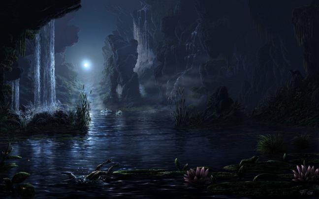 night, Moon, Moon rays, Water, Rock, Flowers, Plants, Swan, Landscape 