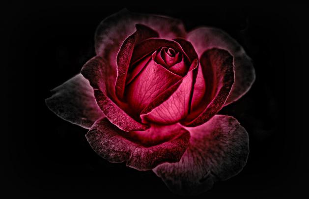 Wallpapers for Desktop Full Screen (74+ background pictures)