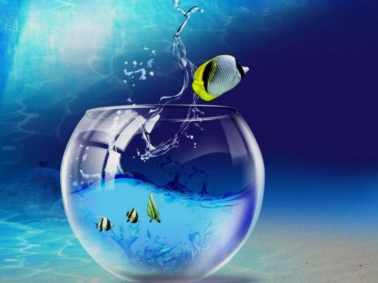 Hd 3D Wallpapers For Pc Full Screen Free Download \/ Desktop Wallpapers 