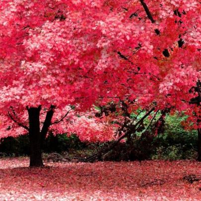 Download 10 New Wallpapers For Desktop Background Full Screen - Full 