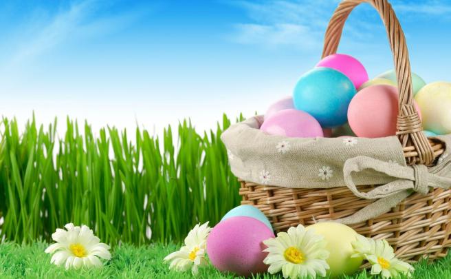 Cats Easter Wallpapers