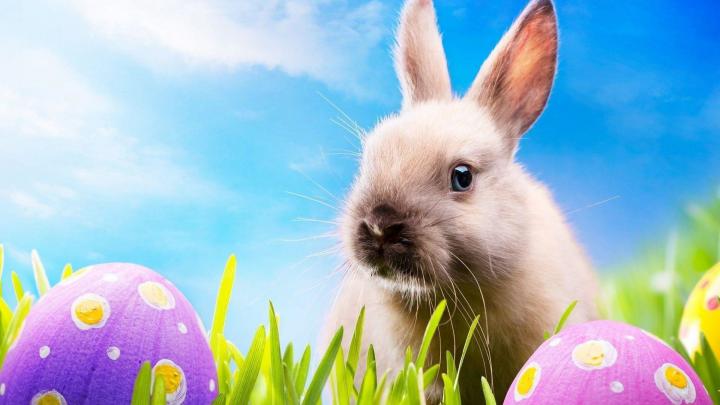 Easter Desktop Backgrounds (66+ images)