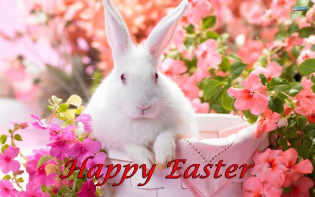 Easter Desktop Wallpapers