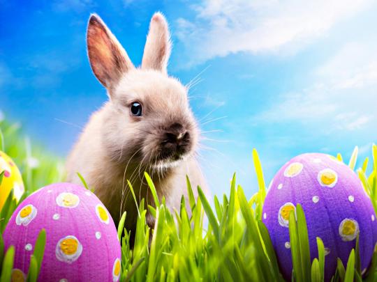 Easter Wallpapers Desktop (71+ images)