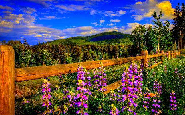 [47+] Free Early Spring Desktop Wallpaper 