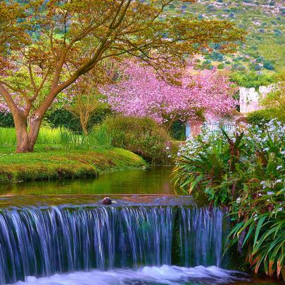 Spring Scenes Wallpaper (42+ images)