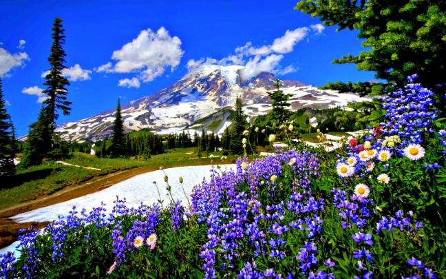 [48+] HD Spring Wallpaper for Desktop 