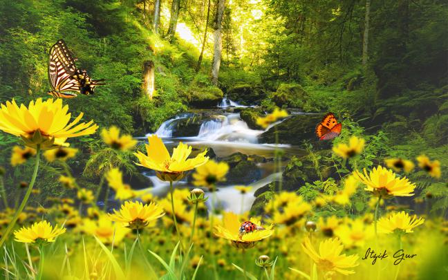 Spring Scenes Wallpaper \u00b7\u2460 