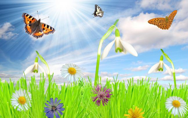 Free Spring Backgrounds Desktop