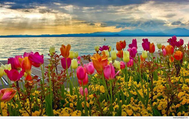 Spring Desktop Wallpapers - Top Free Spring Desktop Backgrounds 