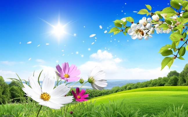 Free Desktop Wallpapers Spring Scenes