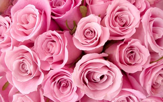 Girly wallpapers HD free download