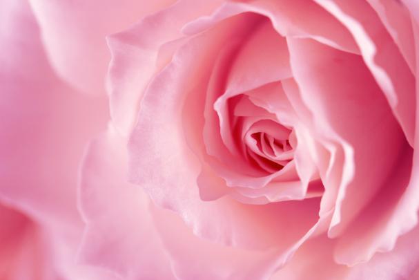 Pink Girly Desktop Wallpaper -