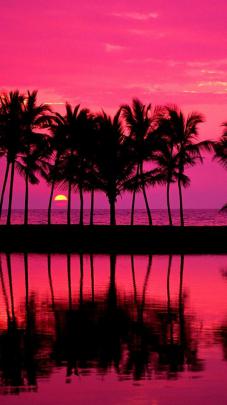iPhone Summer Girly Wallpapers