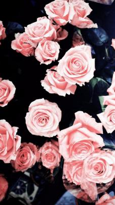 Dope Girly Desktop Wallpapers on WallpaperDog