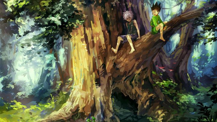 Hunter X Hunter Wallpapers