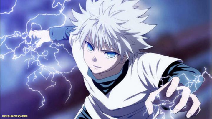 Anime Aesthetic HxH Wallpapers