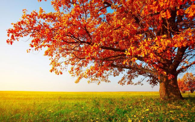November Wallpapers HD
