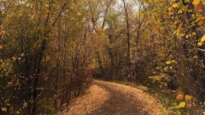November Desktop Wallpaper Download | THE JOY BLOG