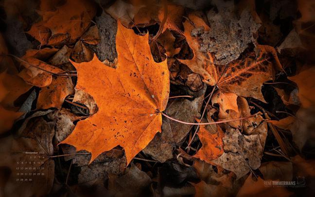 November Wallpapers