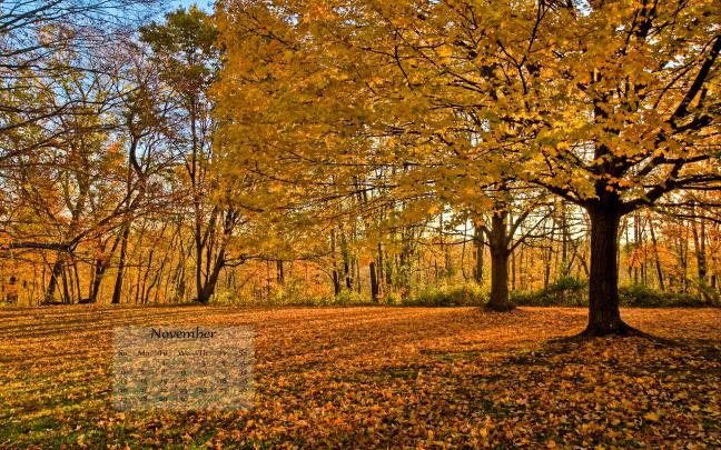 November Wallpaper | Joel Neild Photography