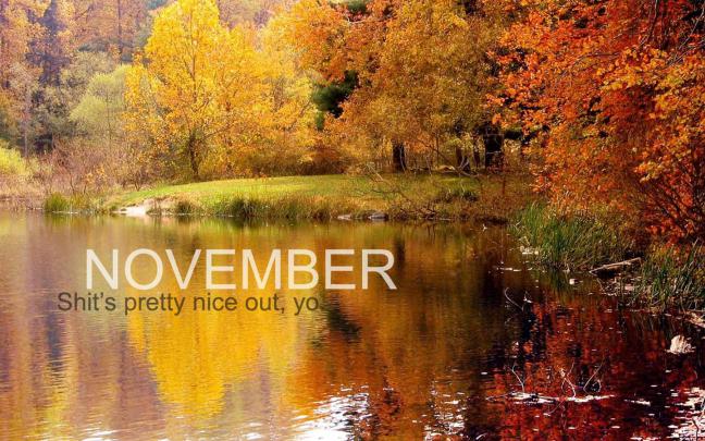 Calendar november wallpaper | AllWallpaper.in #16399 | PC | en