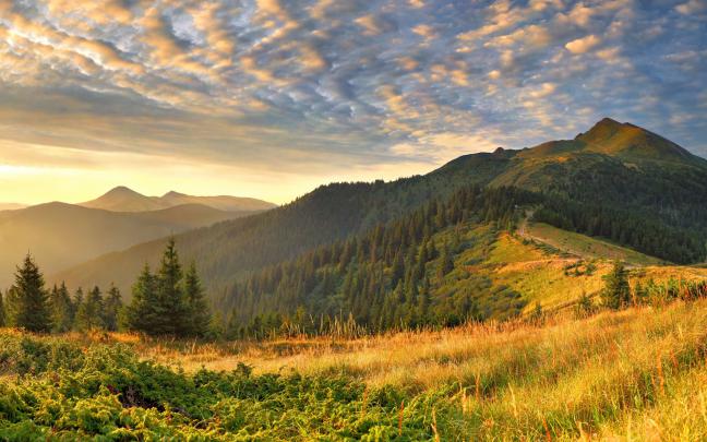 Beautiful spring wallpapers, Pictures, Images