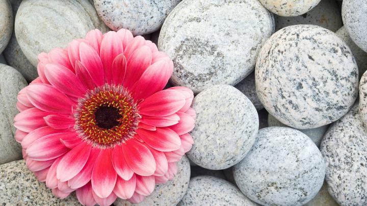 Pretty Desktop Wallpapers (52+ images)