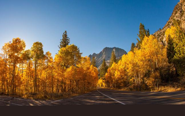 landscape, Natural, Beautiful, Mountain, Scenery, Autumn, Tree 