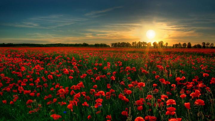 45 HD Beautiful Wallpapers\/Backgrounds For Free Download