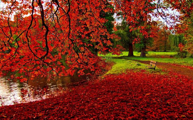 fall backgrounds beautiful - HD Desktop Wallpapers