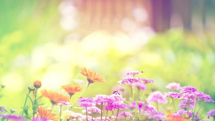 Pretty Desktop Wallpapers (52+ images)