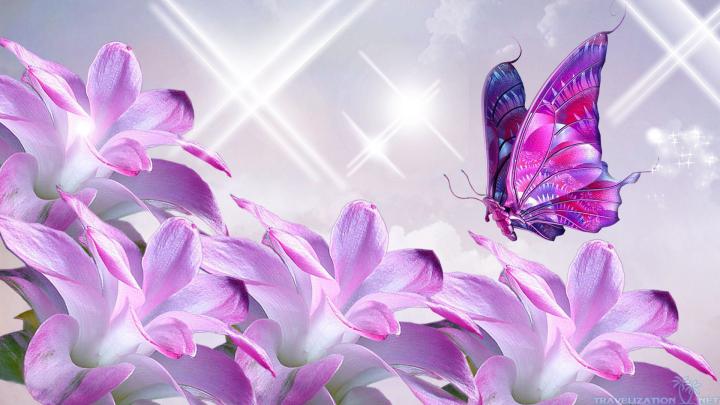 Beautiful Wallpapers for Desktop (58+ images)