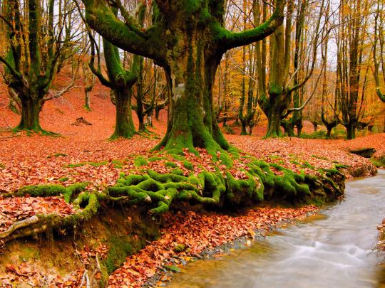 Beautiful Wallpapers for Desktop (58+ images)
