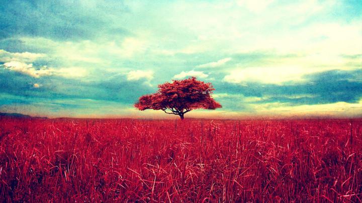 Red Aesthetic Wallpapers: 20+ Images - WallpaperBoat