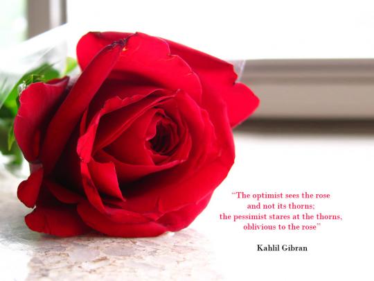 Inspirational Desktop Wallpaper: Red Rose Desktop Wallpaper