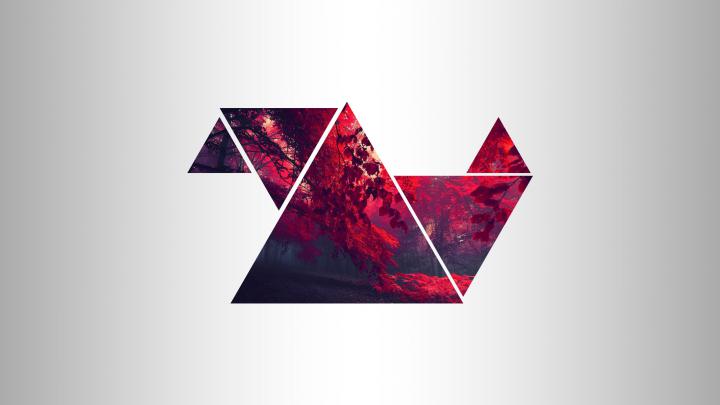 2560x1440 px forest red Triangle \u2013 Cars BMW HD Desktop Wallpaper