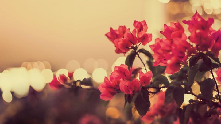 Vintage Desktop Backgrounds