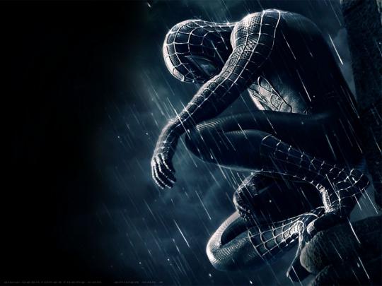 Spiderman desktop wallpaper ~ Superhero