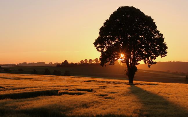 nice sunset wallpapers - HD Desktop Wallpapers