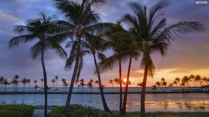 Beach Sunset Desktop Wallpaper (70+ images)