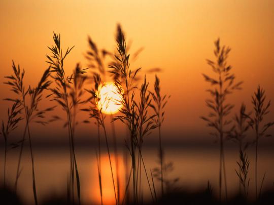 Best Desktop HD Wallpaper - Sunset Wallpapers