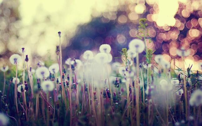Vintage Desktop Backgrounds