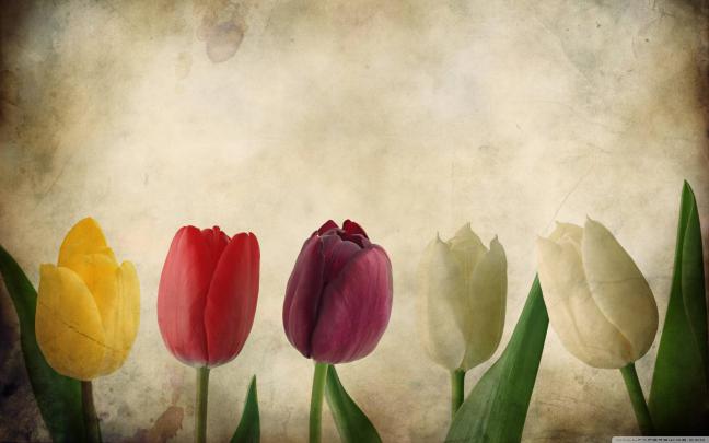 Vintage Desktop Wallpapers