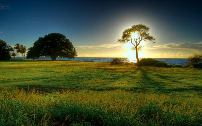 Best Wallpapers - Landscape Desktop Backgrounds Windows 10 - 1920x1200 